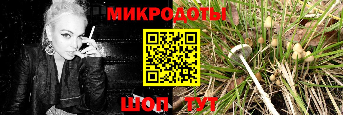 Галлюциногенные грибы мицелий Красный Сулин