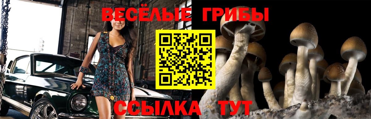 Красный Сулин  Псилоцибиновые грибы прущие грибы  Галлюциногенные грибы Psilocybe  Вход с VPN 